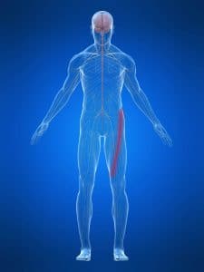 cruralgie et médecine chinoise